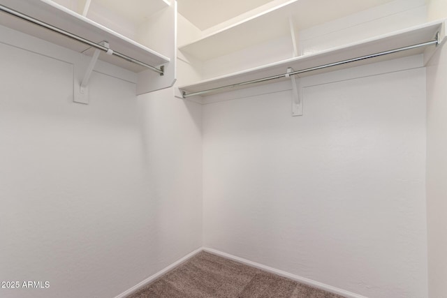 37911 N Luke Ln, San Tan Valley, AZ 85140 - walk in closet with carpet floors