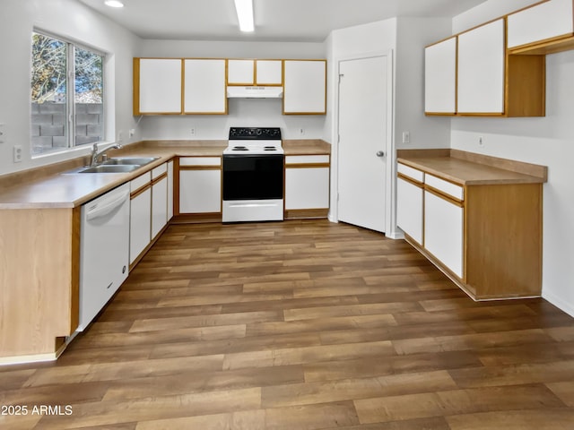 kitchen featuring under cabinet range hood, electric range, a sink, white cabinetry, and dishwasher