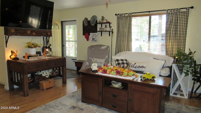 office featuring hardwood / wood-style floors and plenty of natural light