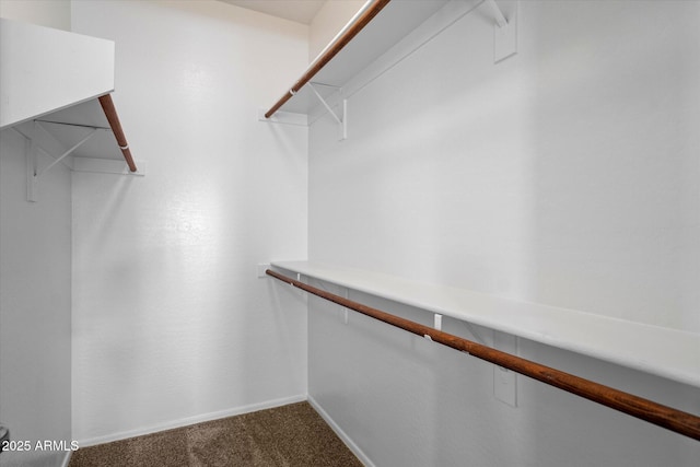 spacious closet featuring dark colored carpet