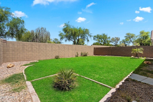view of yard with a fenced backyard