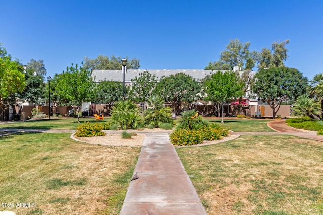 1600 N Saba St Unit 143, Chandler, AZ 85225 - view of grassy yard