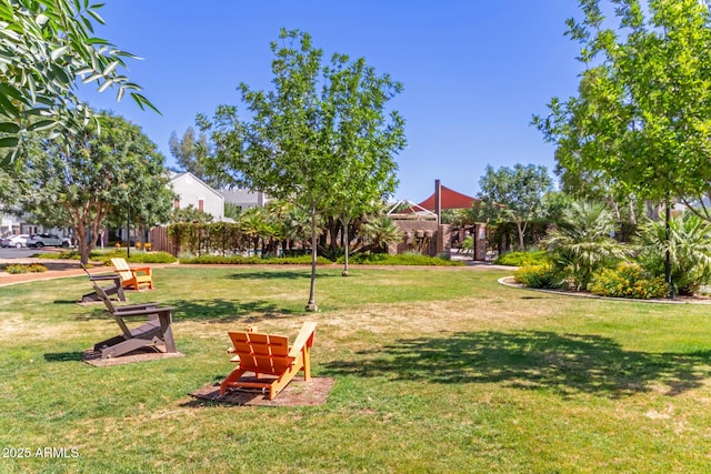1600 N Saba St Unit 143, Chandler, AZ 85225 - view of green lawn