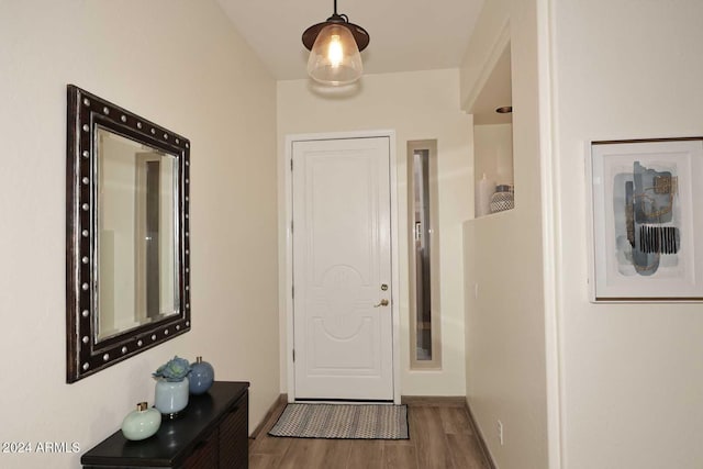 entryway featuring hardwood / wood-style flooring