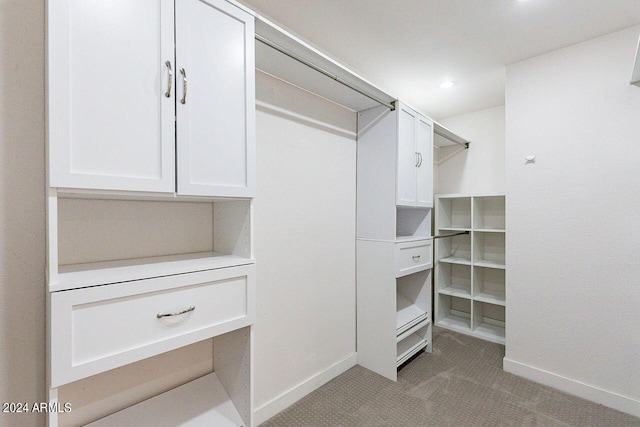 spacious closet with light carpet