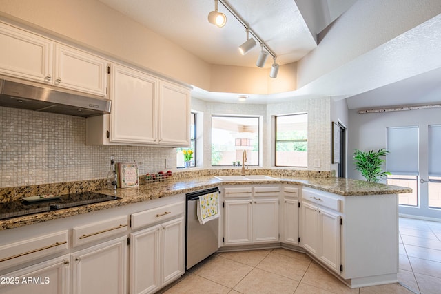 11025 N 10th St, Phoenix, AZ 85020 - kitchen featuring stainless steel dishwasher, under cabinet range hood, track lighting, a peninsula, and tasteful backsplash