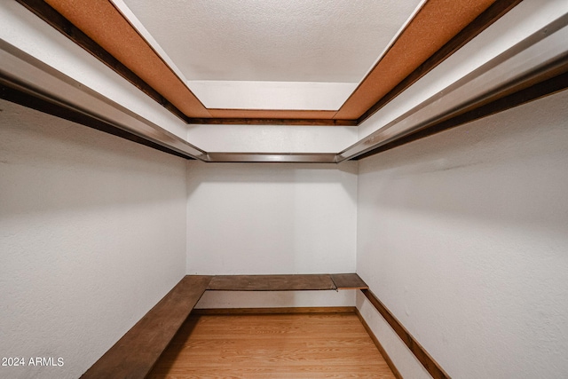 walk in closet with light hardwood / wood-style flooring