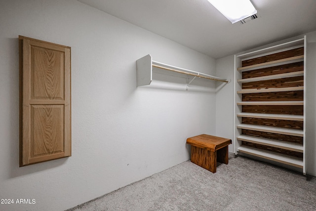 spacious closet featuring carpet