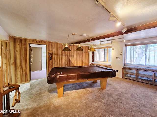 4950 Raffaele Dr, Sierra Vista, AZ 85635 - rec room featuring rail lighting, carpet floors, plenty of natural light, wooden walls, and a textured ceiling