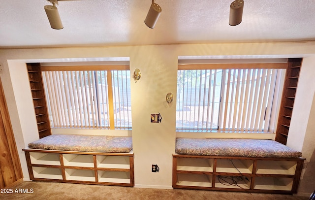 4950 Raffaele Dr, Sierra Vista, AZ 85635 - carpeted foyer featuring baseboards and a textured ceiling