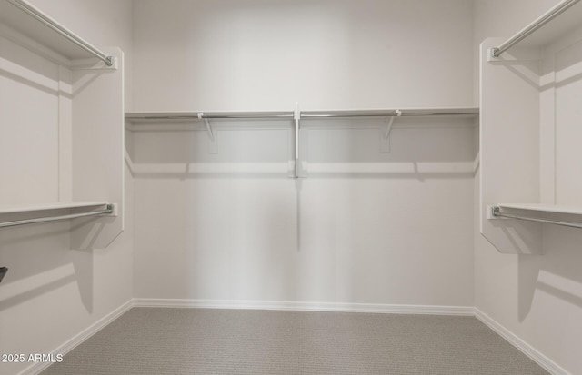 spacious closet featuring carpet floors