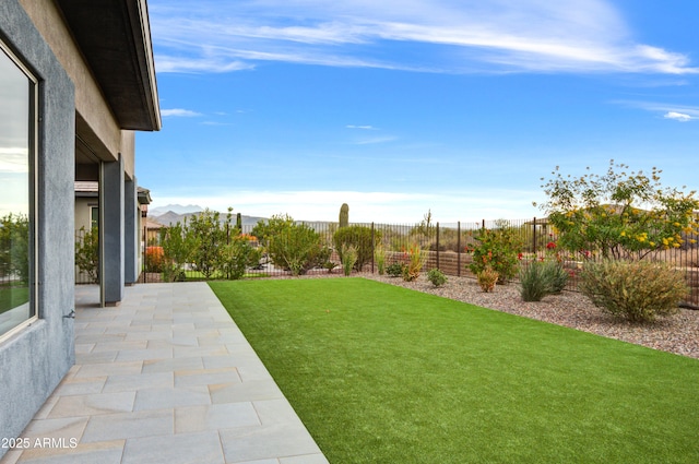 view of yard with a patio area