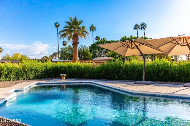 675 Val Verde Cir W, Litchfield Park, AZ 85340 - view of outdoor pool