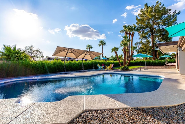 675 Val Verde Cir W, Litchfield Park, AZ 85340 - outdoor pool featuring a patio