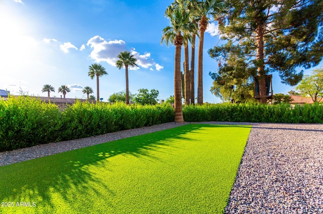 675 Val Verde Cir W, Litchfield Park, AZ 85340 - view of yard