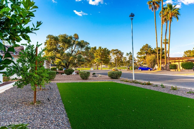 675 Val Verde Cir W, Litchfield Park, AZ 85340 - view of yard