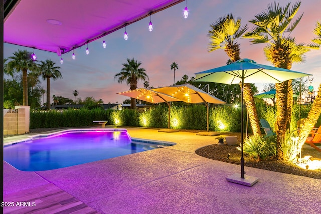 675 Val Verde Cir W, Litchfield Park, AZ 85340 - pool at dusk with a patio area
