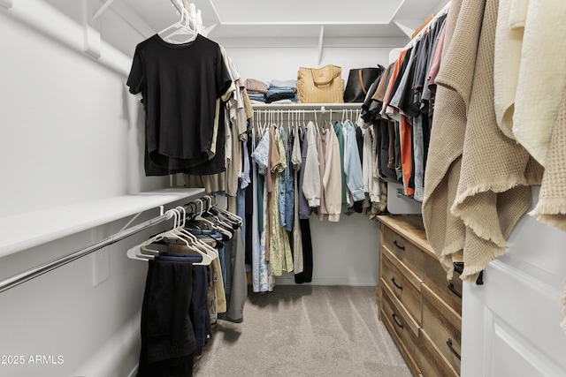 walk in closet with light colored carpet