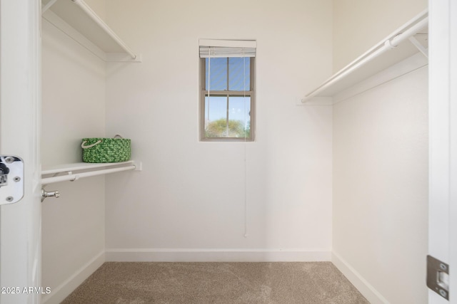 15469 W Dreyfus St, Surprise, AZ 85379 - spacious closet featuring carpet flooring