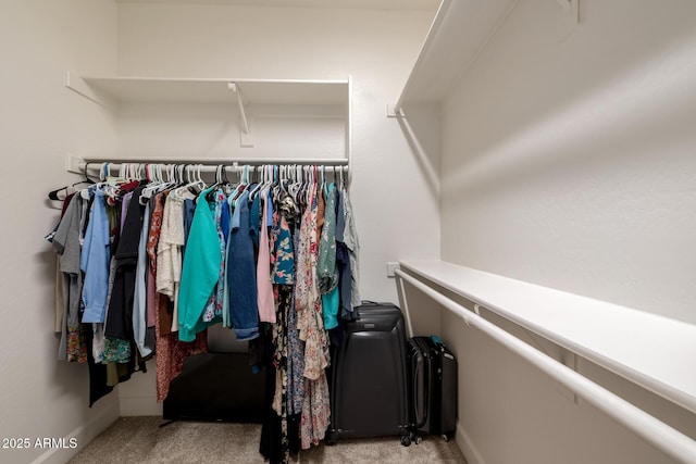 15469 W Dreyfus St, Surprise, AZ 85379 - walk in closet featuring carpet flooring