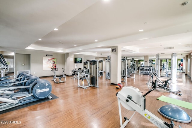 workout area with a raised ceiling and light hardwood / wood-style floors