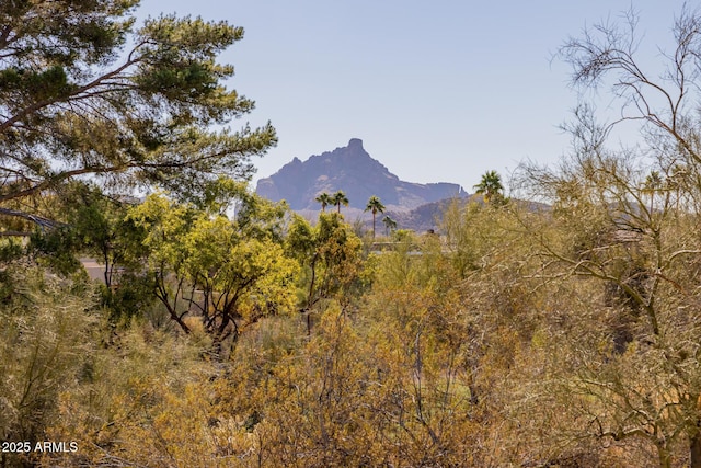 view of mountain feature