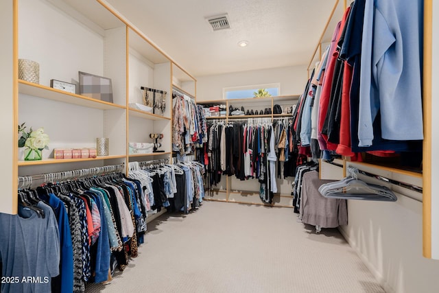 walk in closet featuring carpet floors