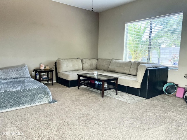 bedroom featuring carpet floors