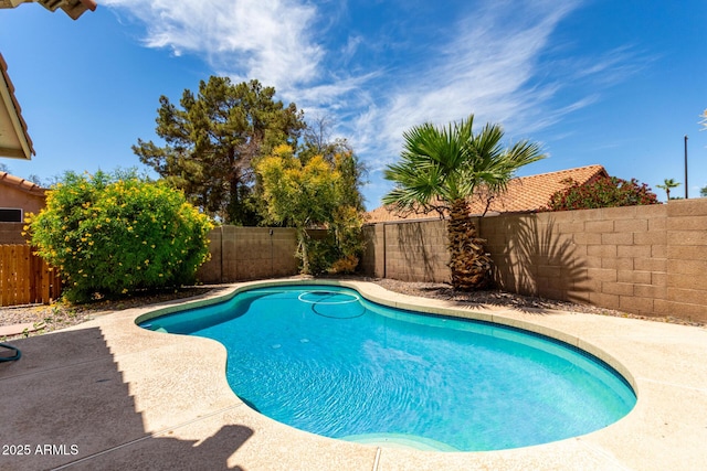 626 W Catclaw St, Gilbert, AZ 85233 - view of pool featuring a fenced backyard, a fenced in pool, and a patio