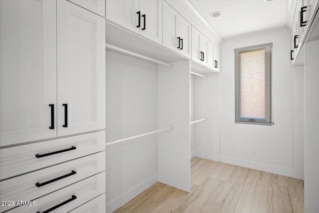 spacious closet featuring light wood-type flooring