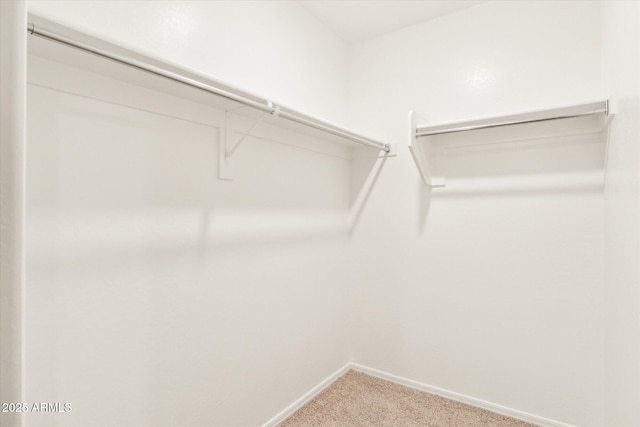 431 W Guinea Ct, Casa Grande, AZ 85122 - walk in closet featuring carpet floors