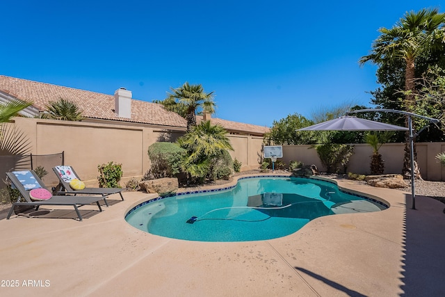 view of pool with a fenced backyard, a patio, and a fenced in pool