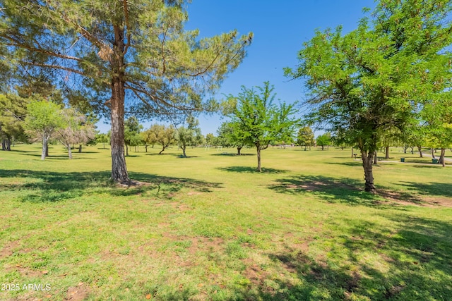 6231 E Desert Cove Ave, Scottsdale, AZ 85254 - view of green lawn
