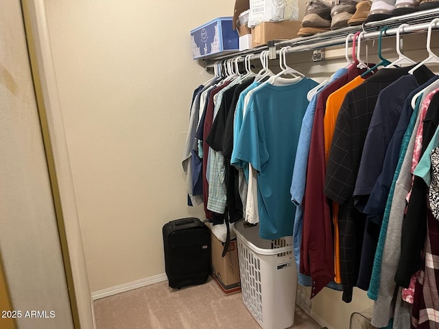 spacious closet featuring light colored carpet