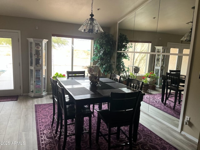 dining space with hardwood / wood-style floors