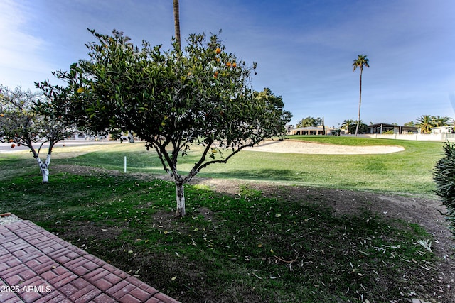 view of community featuring a yard and volleyball court