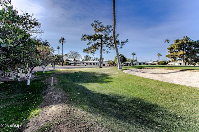 view of property's community featuring a yard