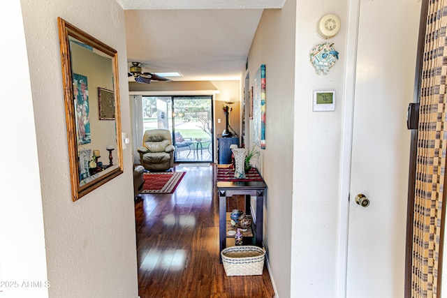 hallway featuring dark hardwood / wood-style flooring