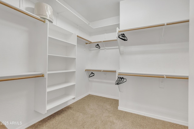 walk in closet featuring light colored carpet