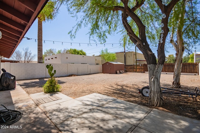 view of yard featuring a patio and a storage unit