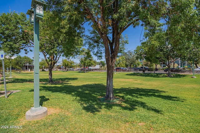 view of property's community featuring a lawn