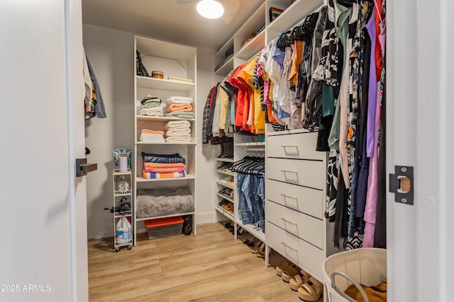 spacious closet featuring wood finished floors