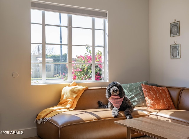 sitting room with a healthy amount of sunlight