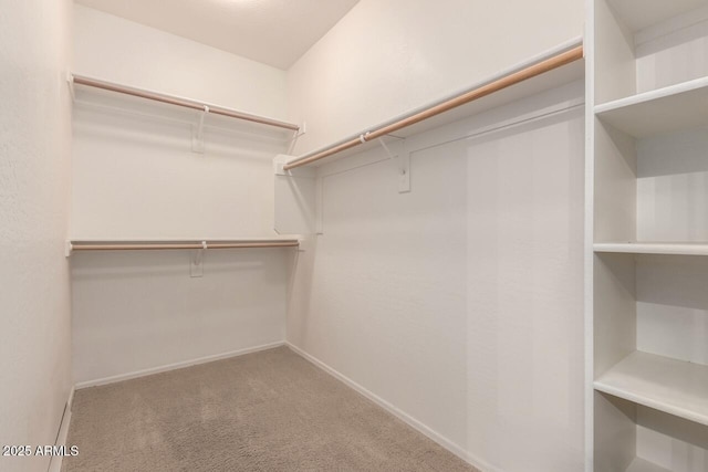 42424 N Gavilan Peak Pkwy Unit 57104, Anthem, AZ 85086 - spacious closet with carpet flooring