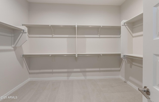 spacious closet with carpet