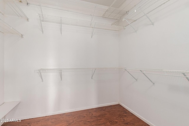 spacious closet featuring wood finished floors