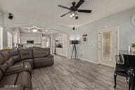 living room with ceiling fan and hardwood / wood-style floors