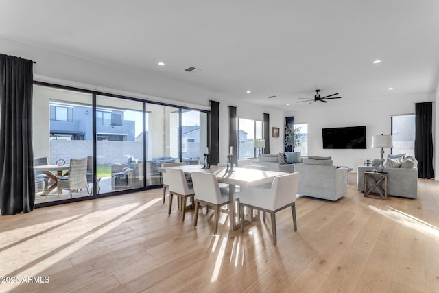 dining area with ceiling fan and light wood-type flooring