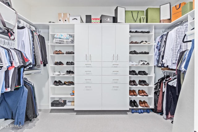 spacious closet featuring light carpet