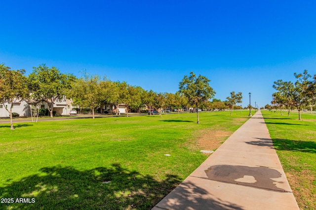 view of community with a yard